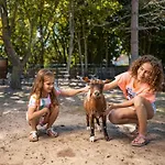 Center Parcs Park 홀리데이파크 데한