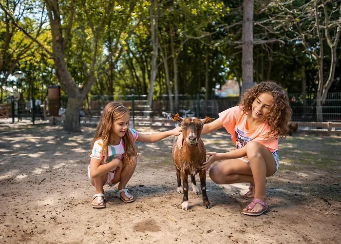 Center Parcs Park Kompleks wypoczynkowy De Haan